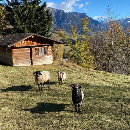 Encia'S Home Dolomiti Castello-Molina di Fiemme Dış mekan fotoğraf